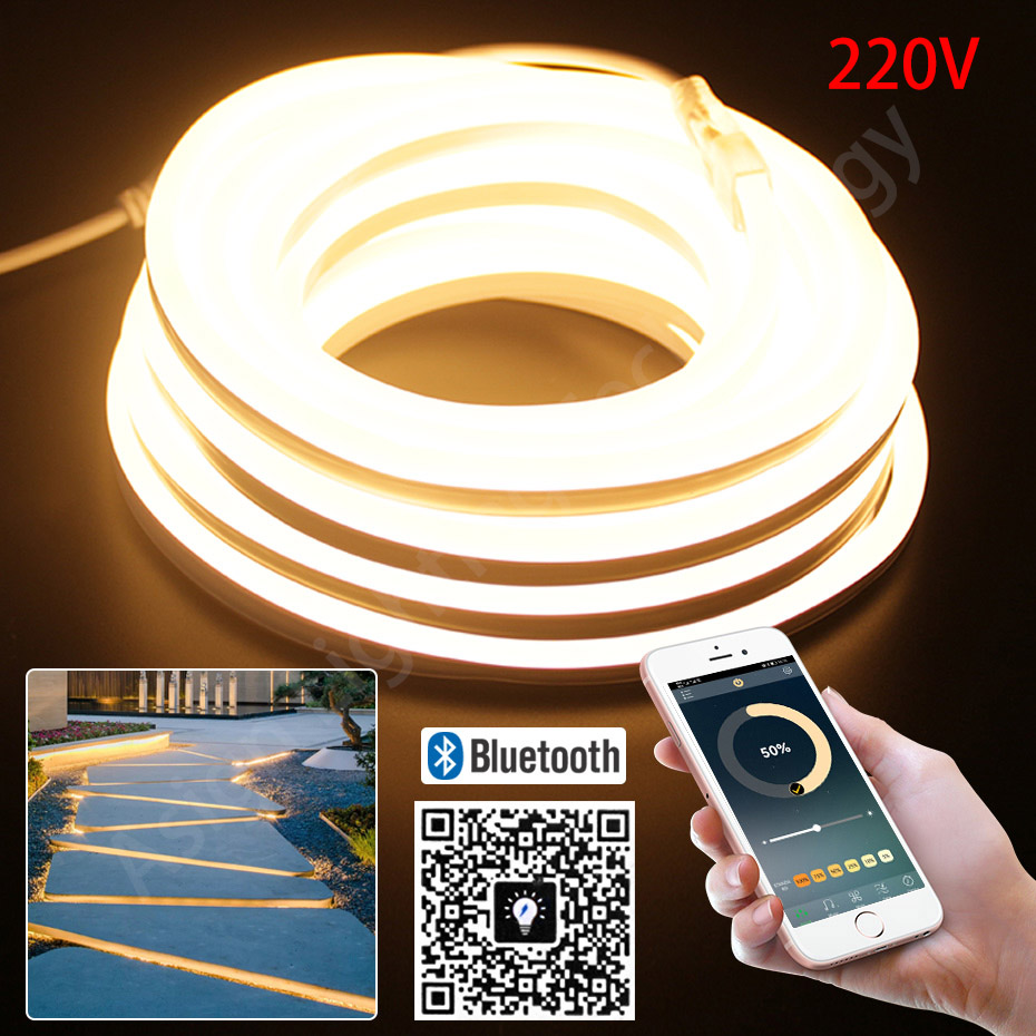 Outdoor Power Strip Weatherproof - LED Neon Strip 220V 2835 120